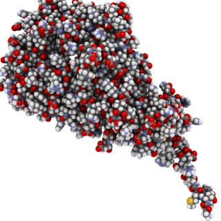 Optimización del Metabolismo Celular